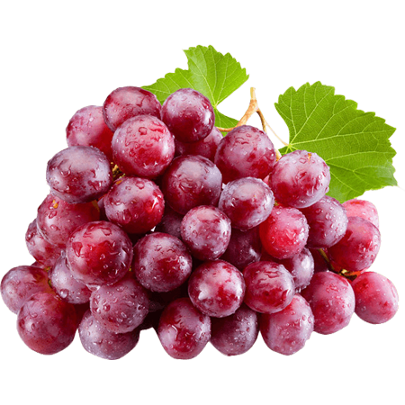 globalagrotech.co.in