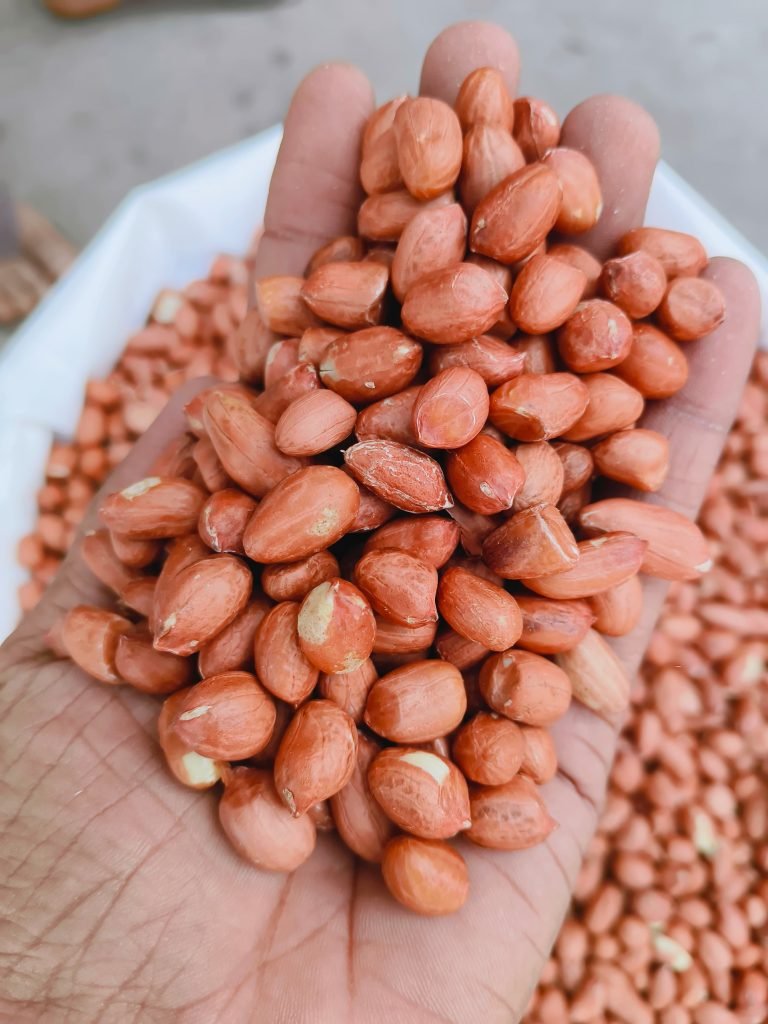 globalagrotech.co